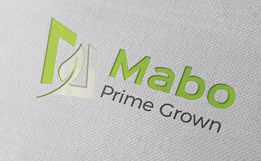basis-mabo-prime-grown